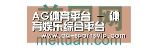 美团网