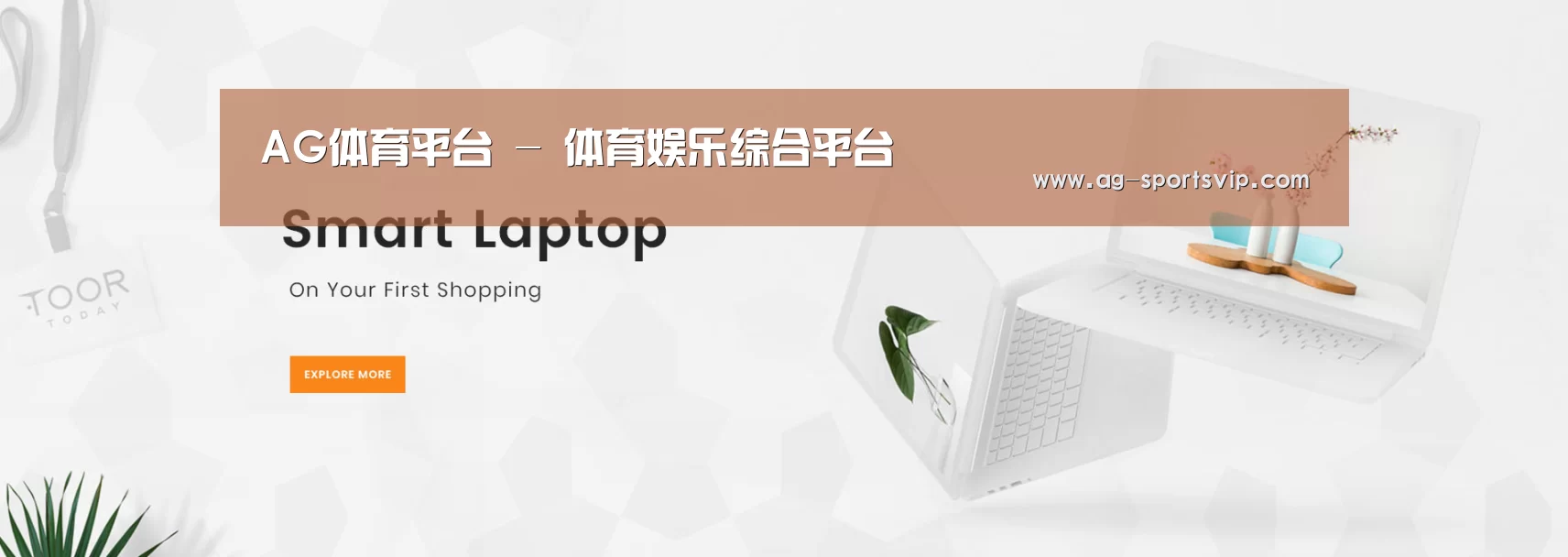 某某网络科技有限公司