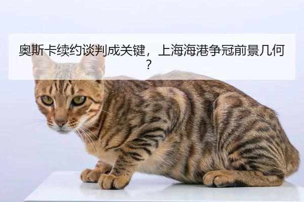 ao-si-ka-xu-yue-tan-pan-cheng-guan-jian-shang-hai-hai-gang-zheng-guan-qian-jing-ji-he-2-714.jpg