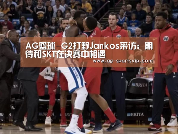 AG篮球