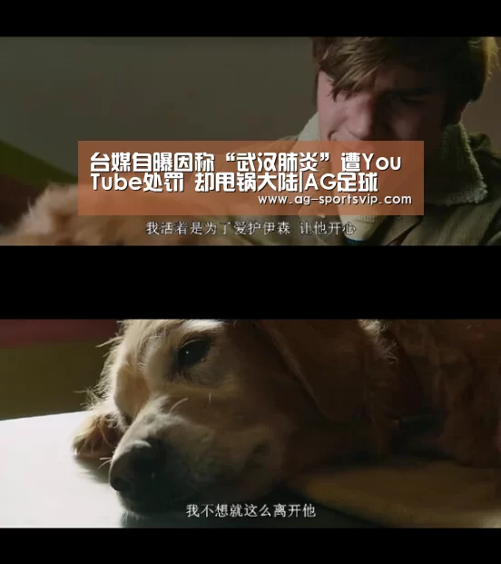 台媒自曝因称“武汉肺炎”遭YouTube处罚 却甩锅大陆|AG足球